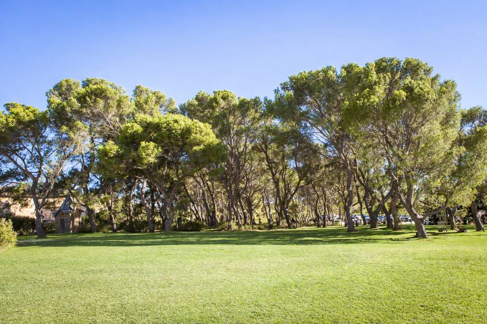 Parc du château
