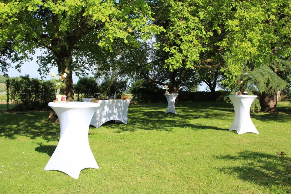 Mariage au Domaine Pascaud