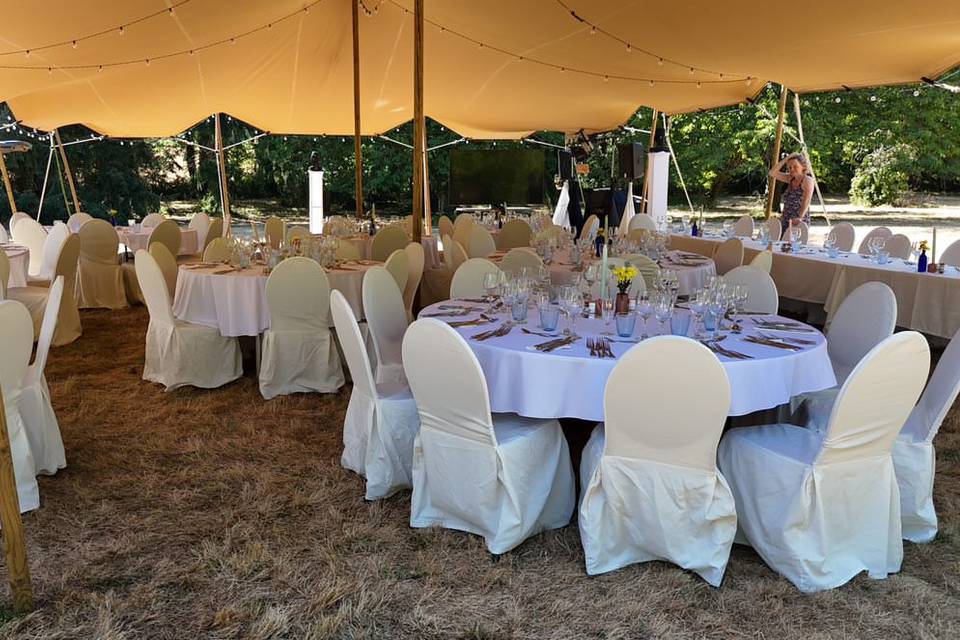 Marriage au parc du château