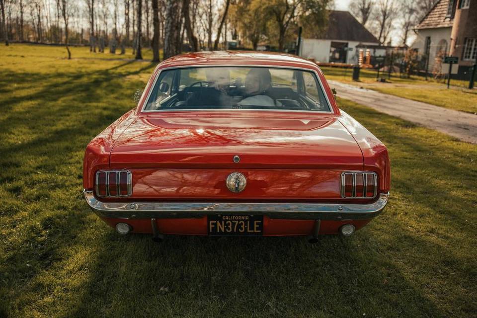 Mustang mariage