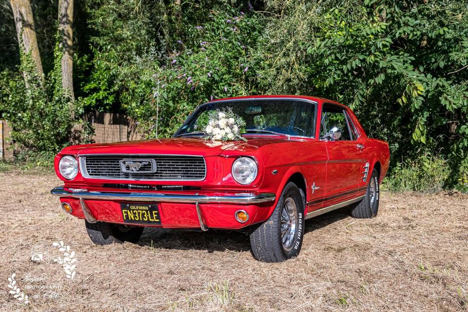 Mustang mariage