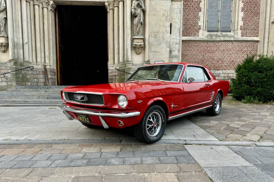 Mustang