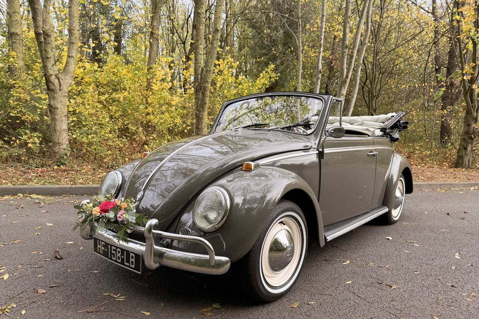 Coccinelle cabriolet