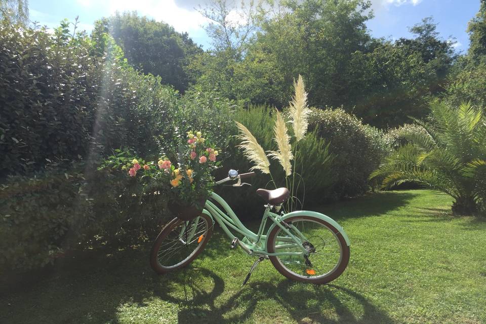 Bicyclette champêtre