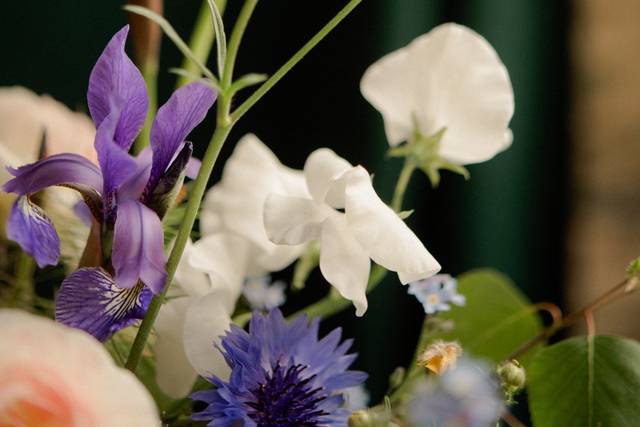Détails fleuris