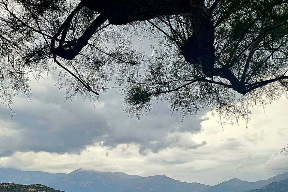 Vue mer