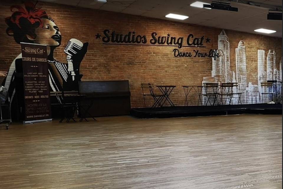 Studios Swing Cat