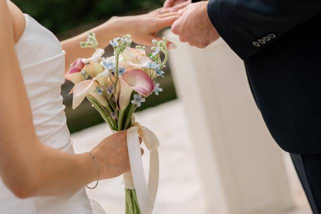 B&C wedding - Park Mougins