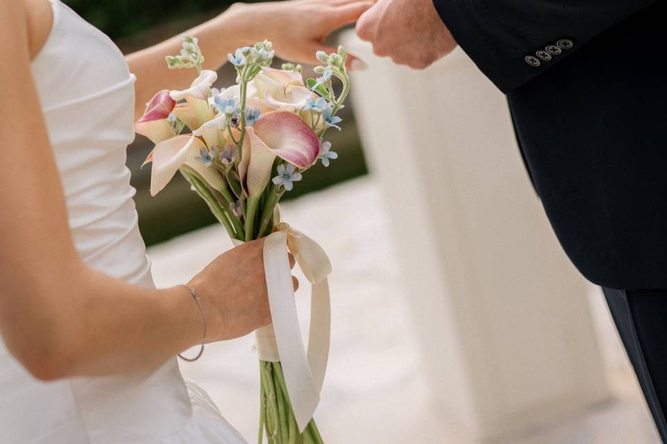 B&C wedding - Park Mougins