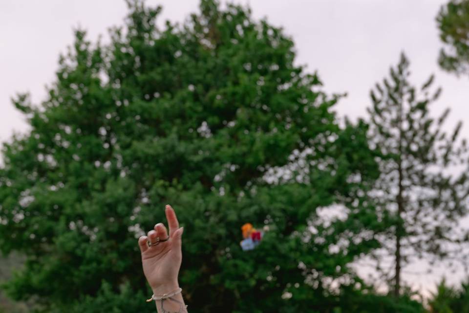 C&M wedding