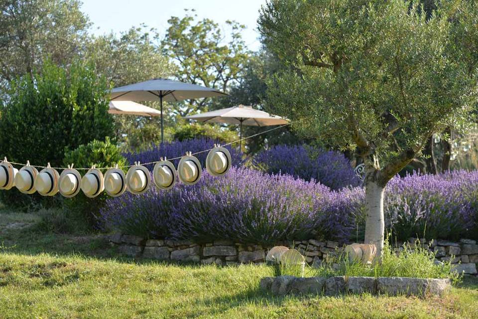 La terrasse aux lavandes