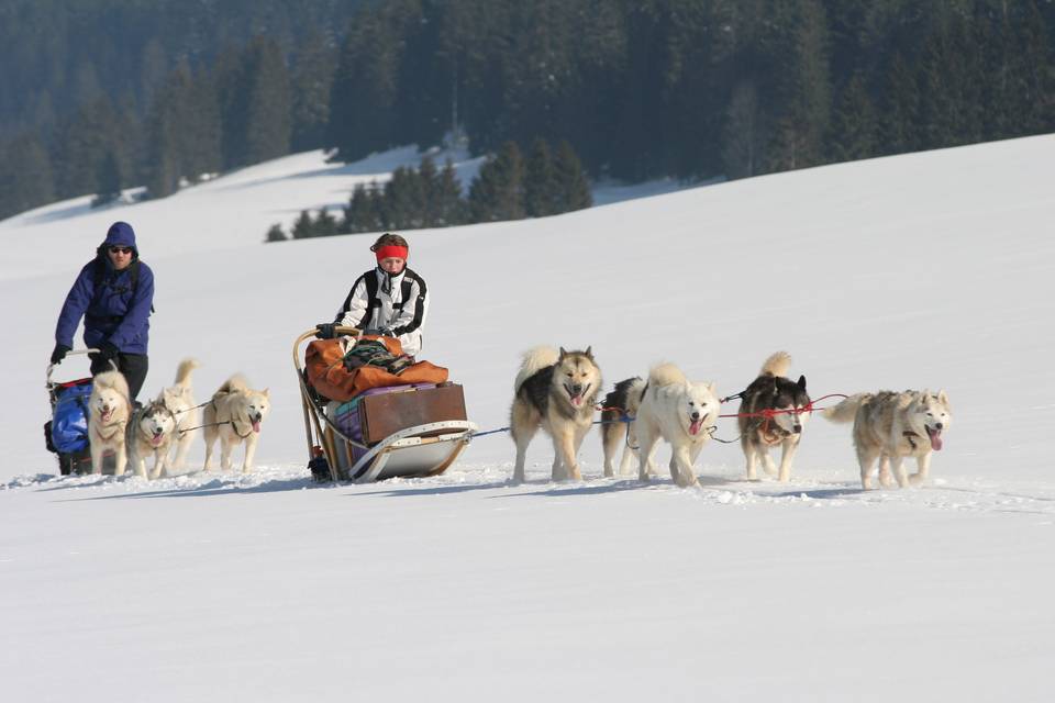 La Maraude en hiver