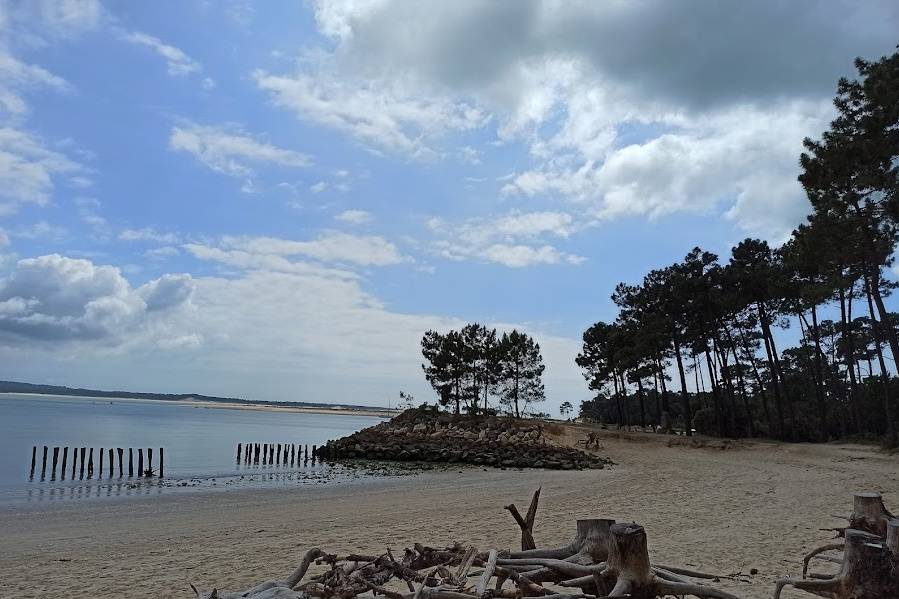 Ile d'Oléron pièce montée