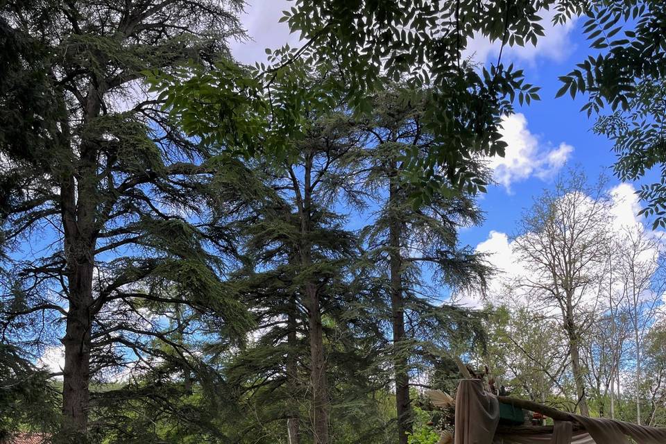 Le parc