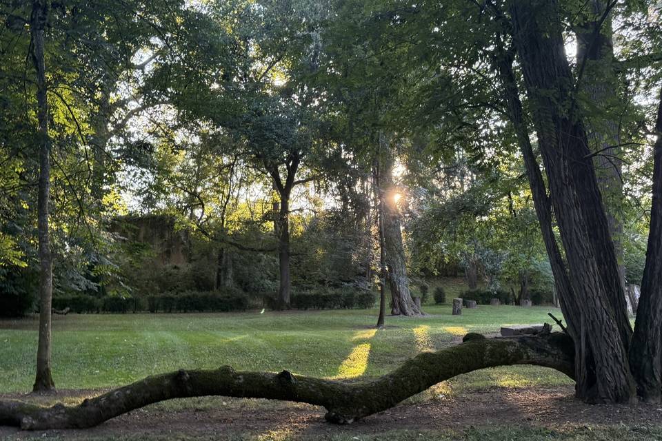 Le parc