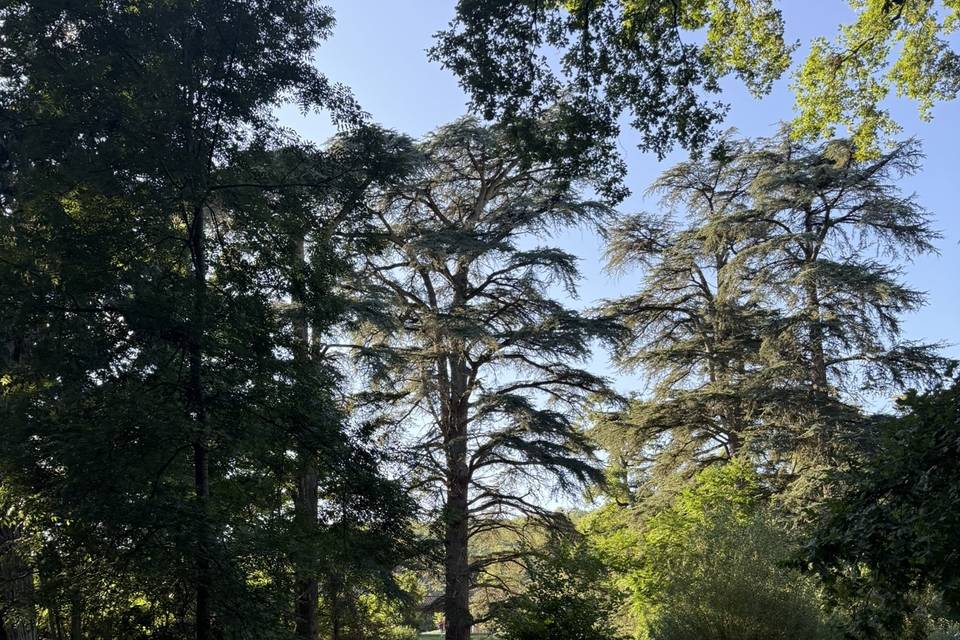Le parc