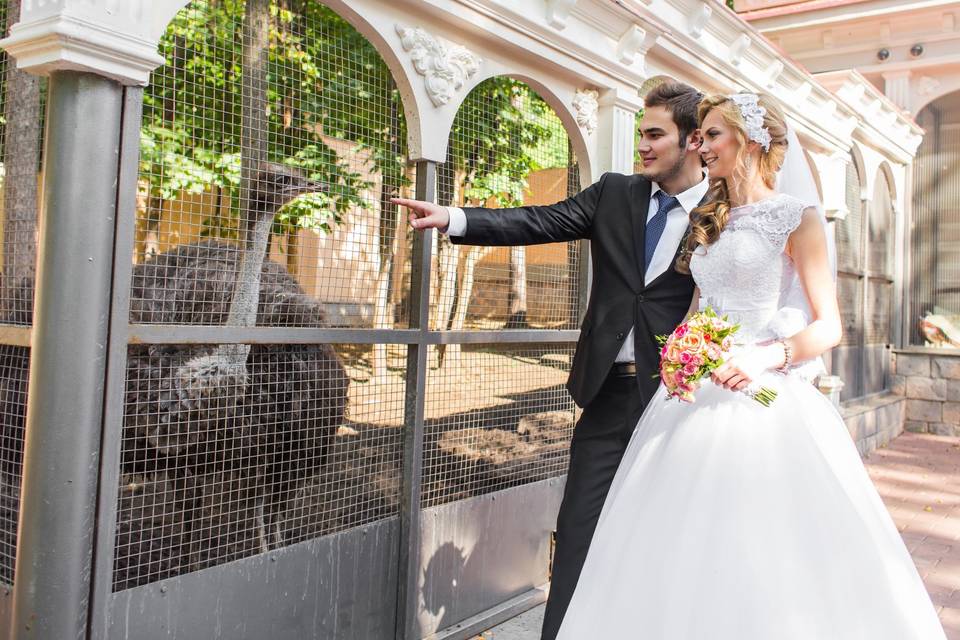 Mariage théme zoo