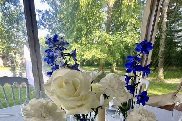 Blanc touche de bleu