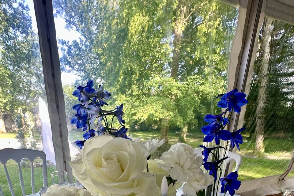 Blanc touche de bleu