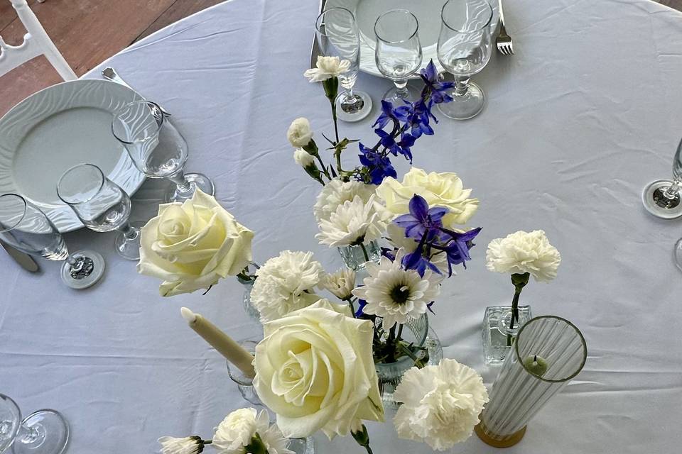 Blanc touche de bleu