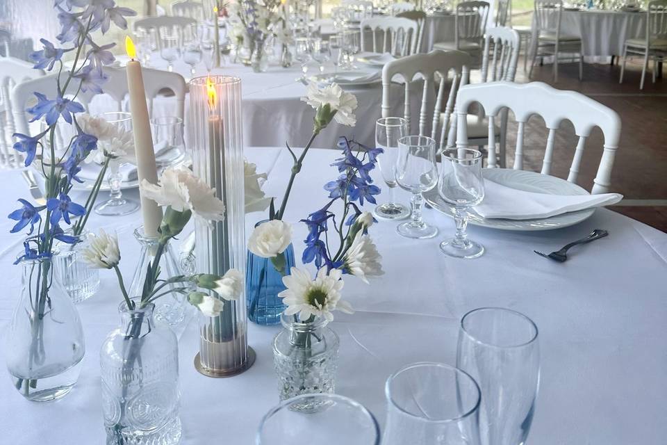 Blanc touche de Bleu