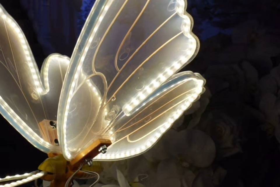 Papillon en mouvement