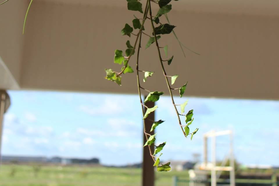 Déco florale