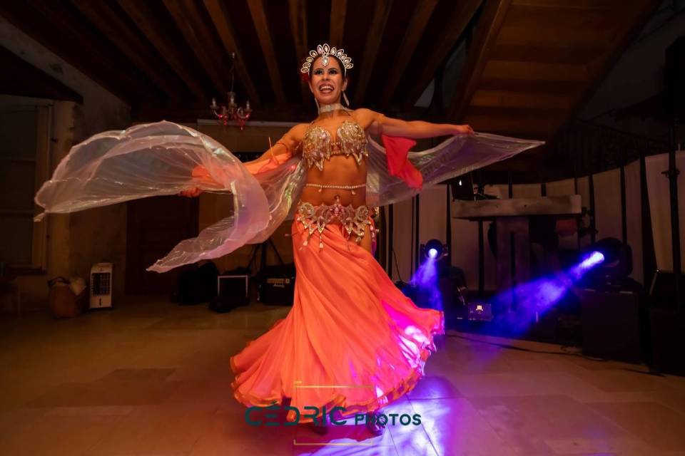 SPECTACLE DANSEUSE DU VENTRE