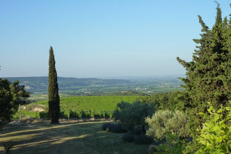 Vue du Domaine