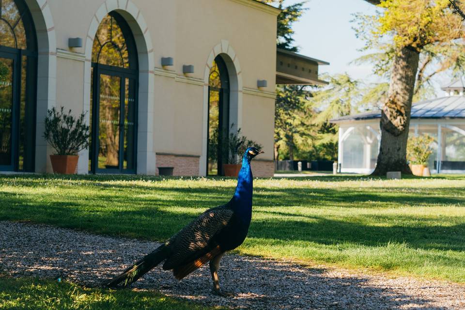 Domaine de chatillon