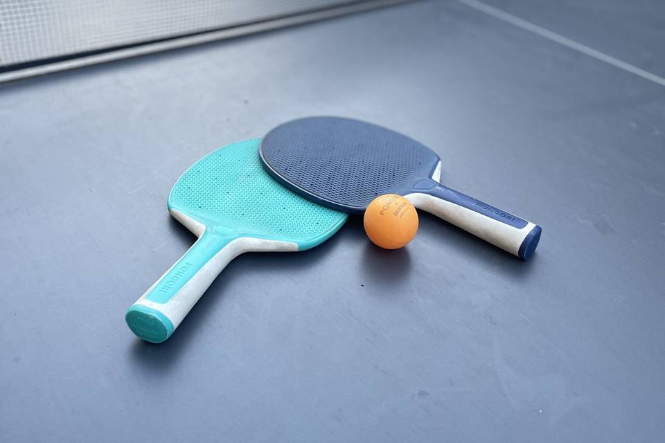 Location table de ping Pong