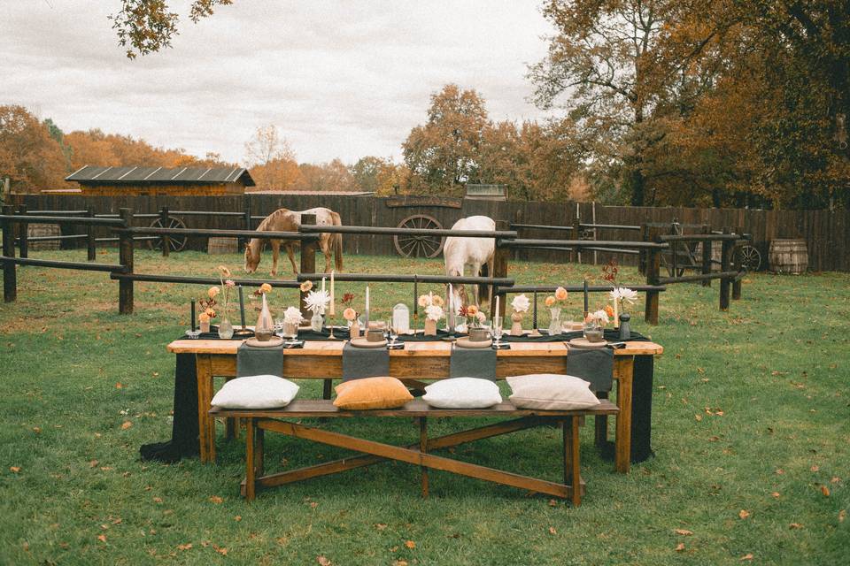 Mariage d'automne @maude.cphot