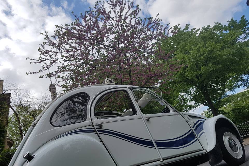 Location de 2cv
