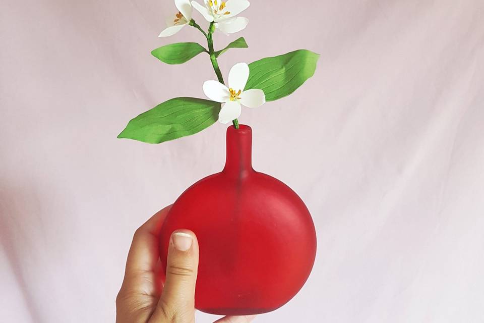 Fleur de seringuas