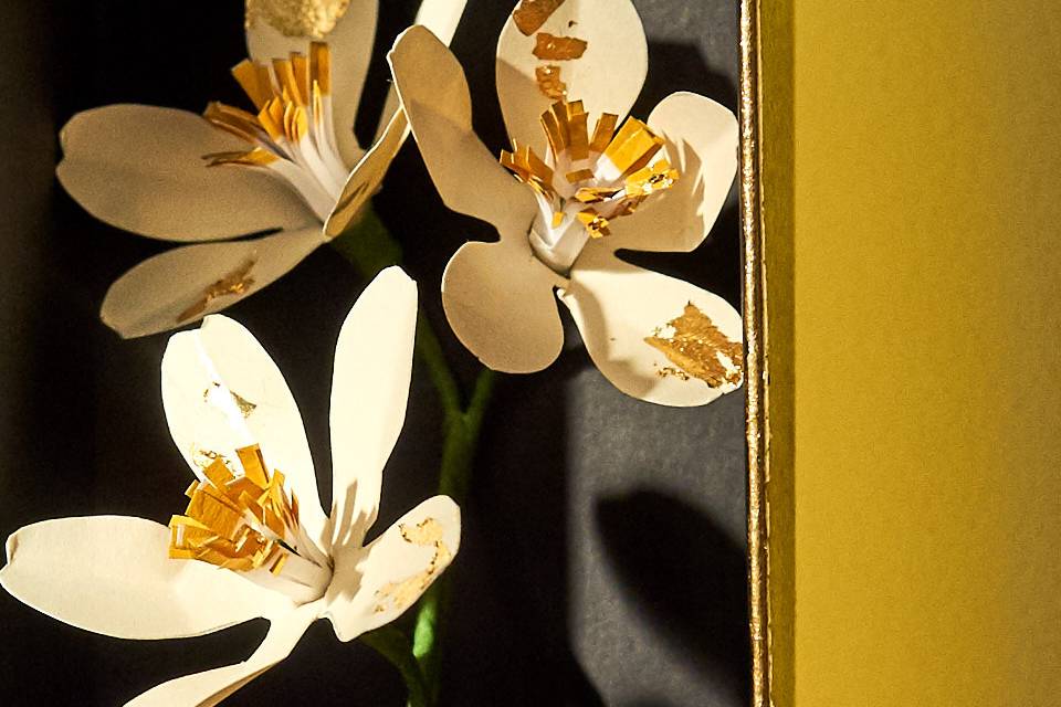 Fleur d'amandier
