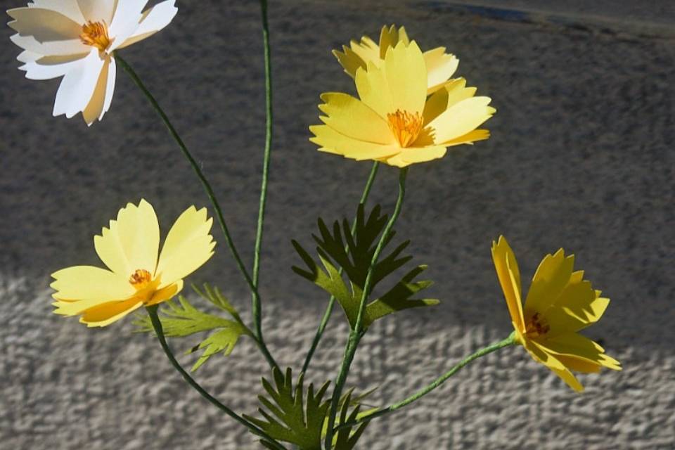 Fleur de cosmos