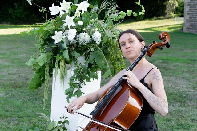 CelloPhonies