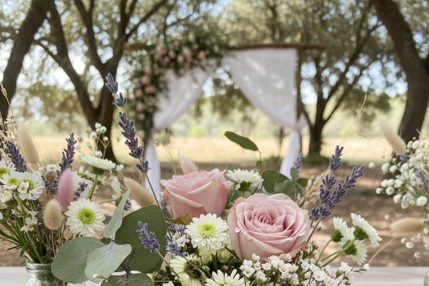 Coiffe alsacienne marque place