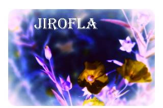 Les mariés de Jirofla Logo