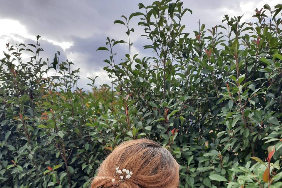 Chignon invitée