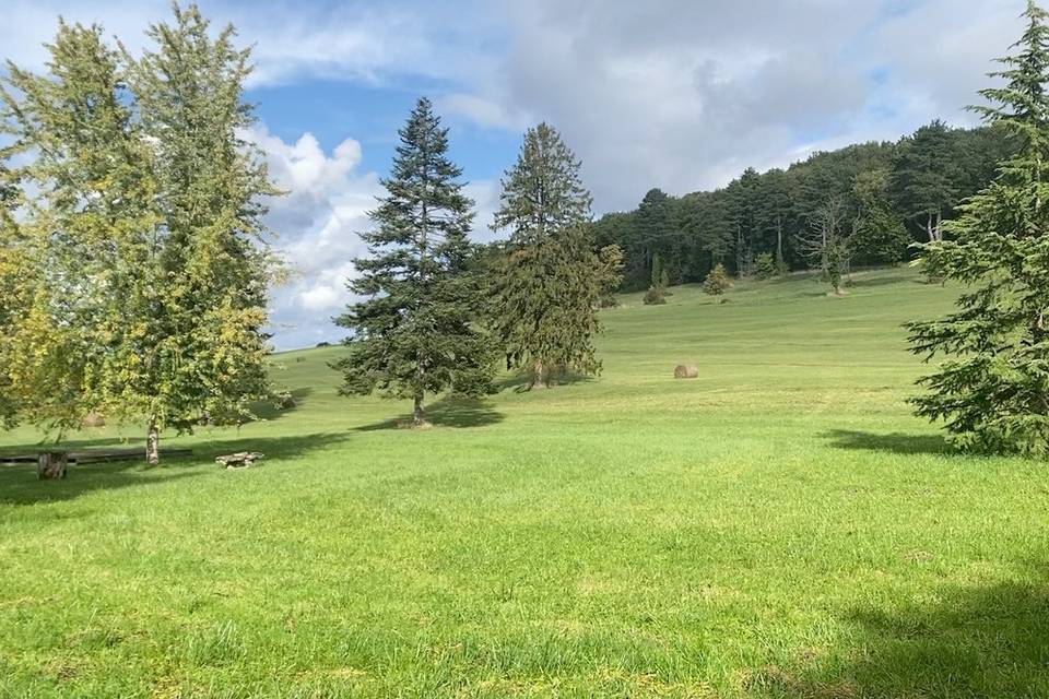 Domaine de Gevingey