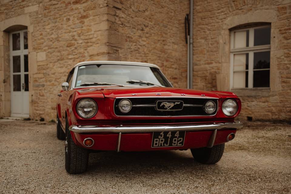 Mustang au domaine