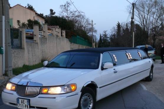 Palace Limousine