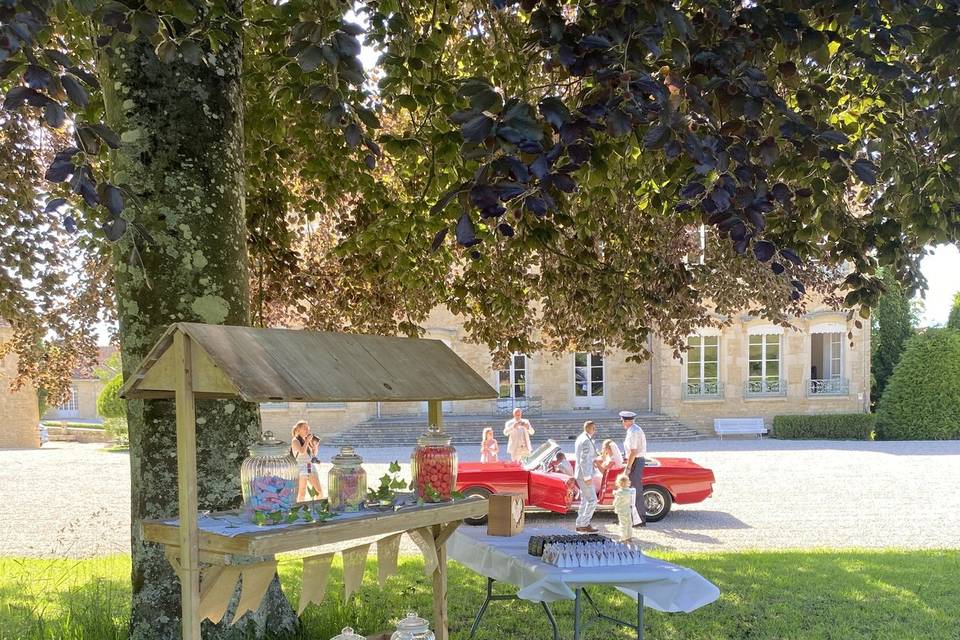 Cocktail devant le chateau