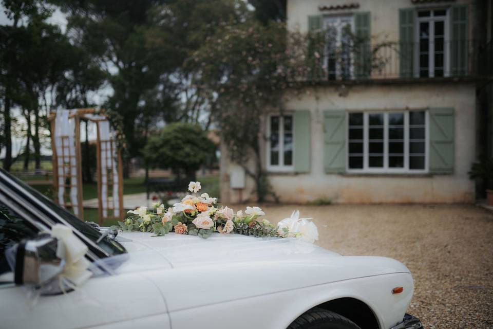 Domaine