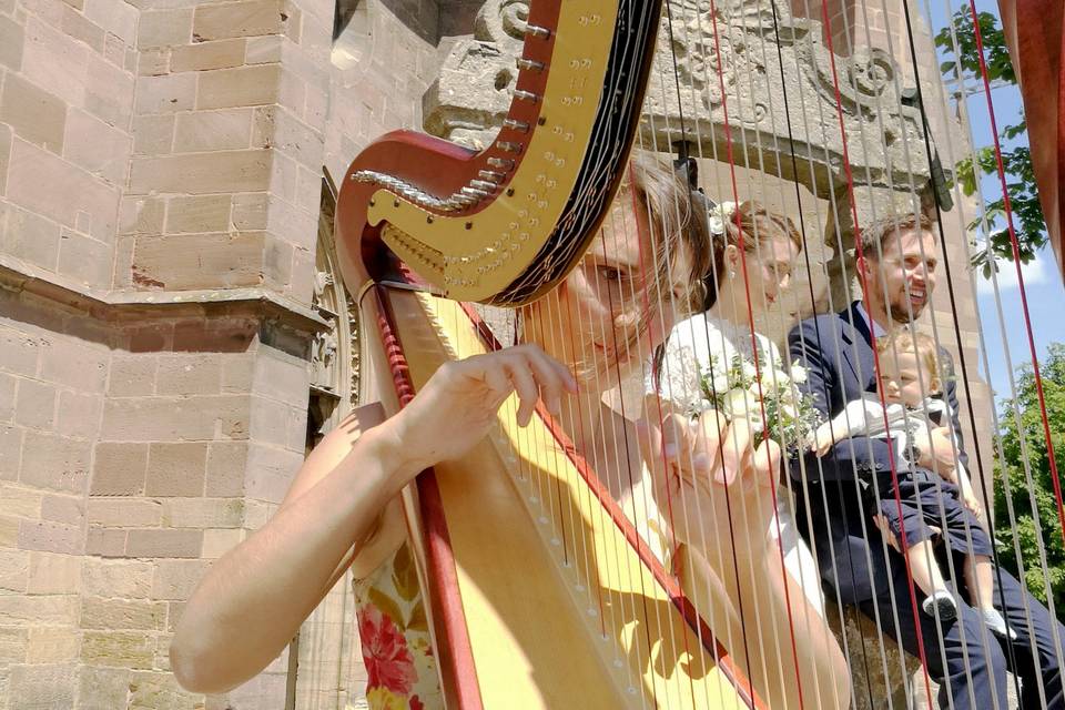 Harpe Event
