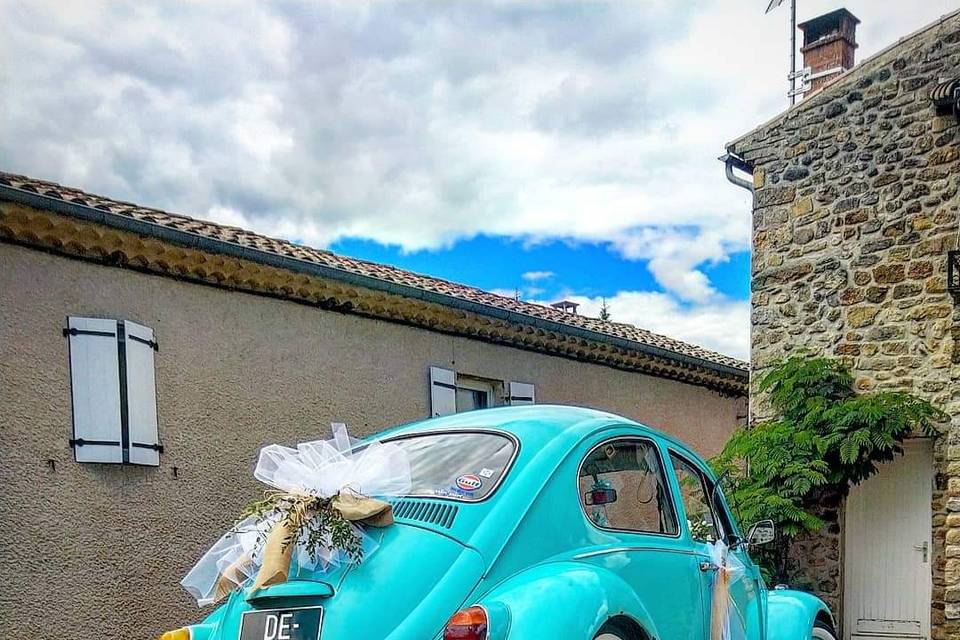 Coccinelle attendant la mariée