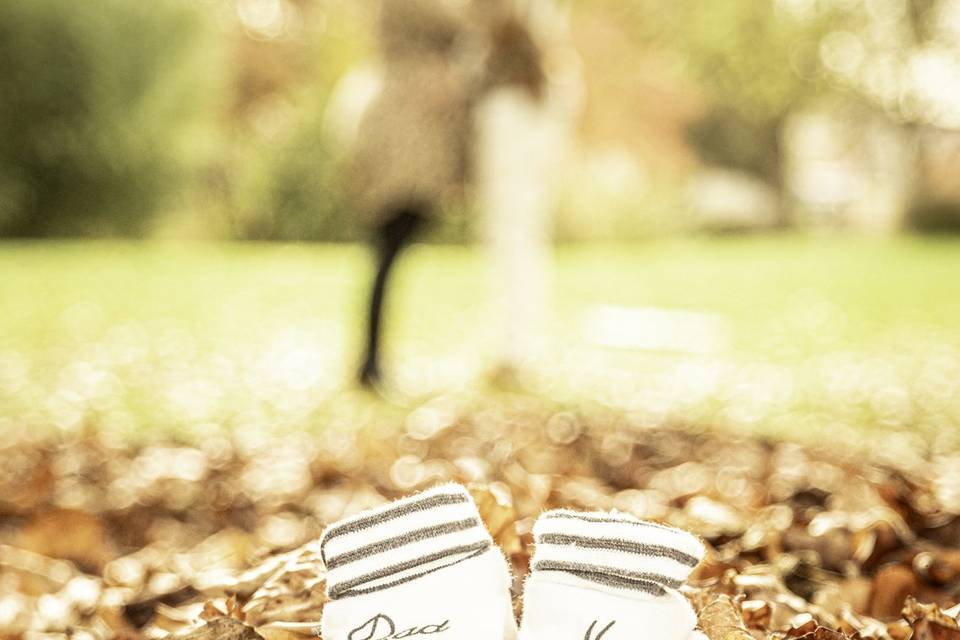 Pixcel Photographie