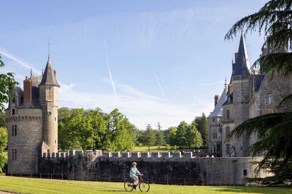 Activités au domaine