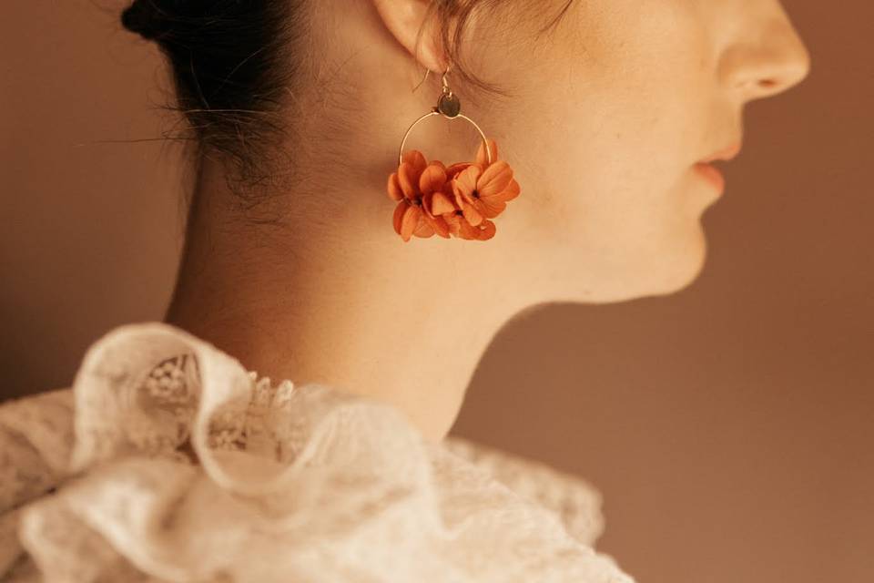 Pinces et boucles d'oreille